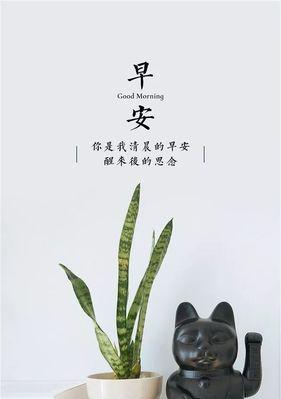 七月相关的句子（七月走心美景）