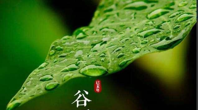 谷雨那天可以发的说说（《谷雨之约》——2024，以唯美短句为主）