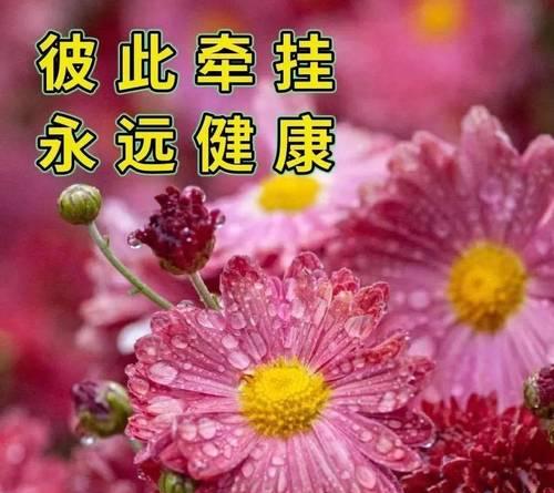 2024教师节祝福语（主题：2023世界教师日祝福语）