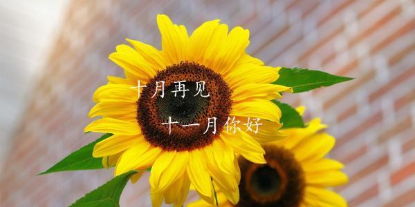 11月你好文字鼓励自己句子（追逐梦想，踏上征程）