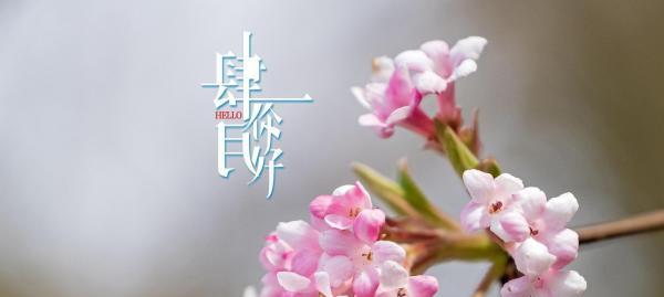 3月你好发朋友圈说说（春日暖心，心情如歌）