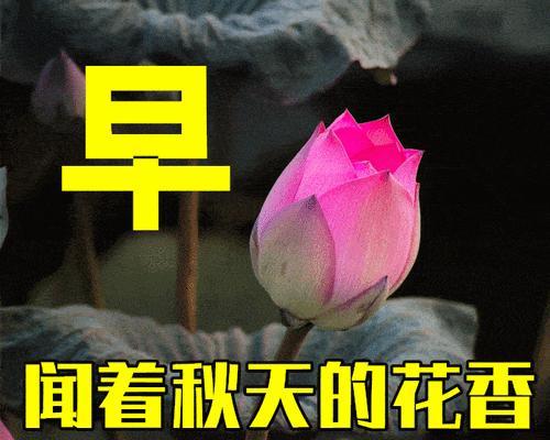 秋分早安祝福语（用心呼唤美好，感受温暖阳光）