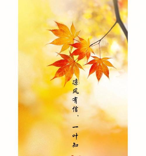 秋分早安祝福语（秋分问候，唯美短句）