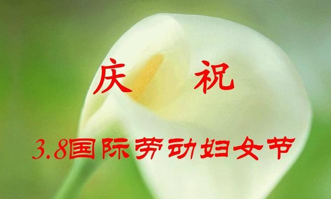 三八妇女节的简单句子（女性力量无限——三八妇女节）