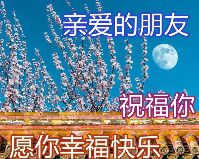 情侣早晨问候语简短最美的句子（用25个唯美短句，打造温馨浪漫的情侣早晨）