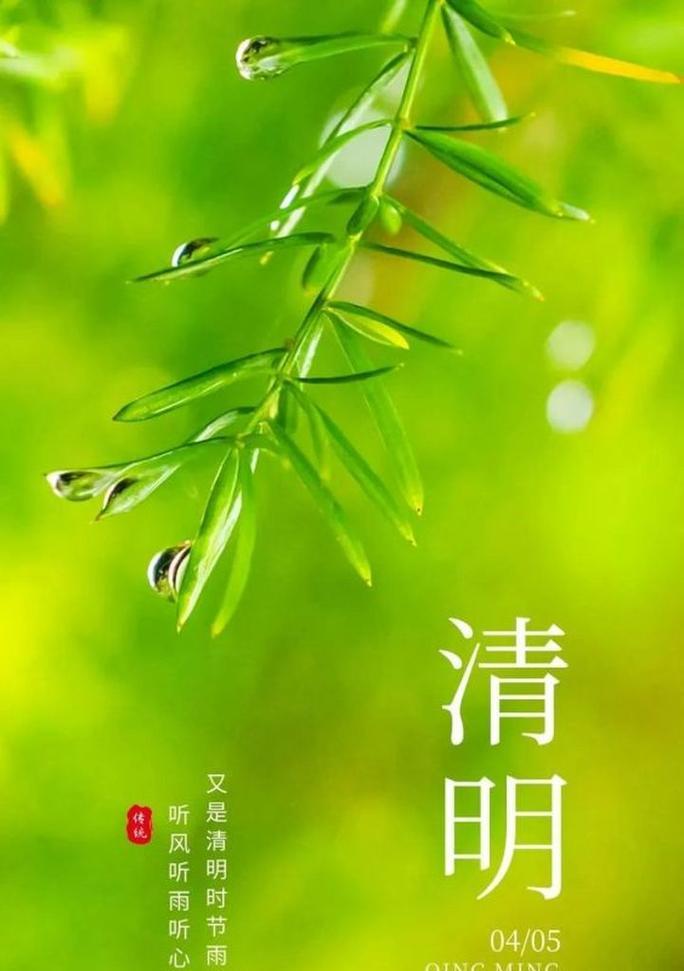 清明节气谚语及诗词（百花齐放清明节）