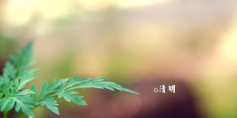 有关清明节送老师祝福语的句子怎么写（清明送老师祝福语，祝愿师恩永存）