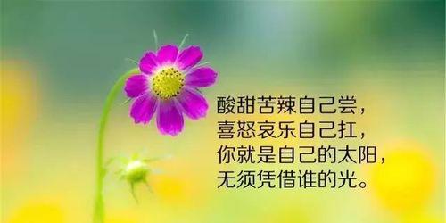 有关人生感悟的经典语录的短句子（沧海一声笑，人生感悟）