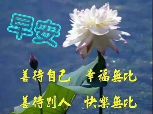 早安暖心祝福语简短唯美（在2024年的早晨，送你一份暖心祝福）