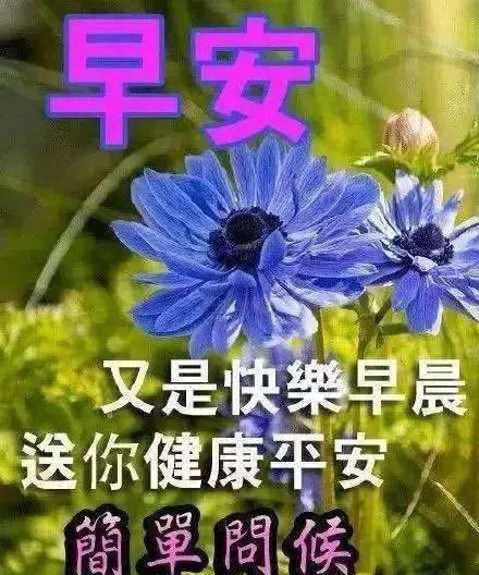 早安暖心祝福语简短唯美（在2024年的早晨，送你一份暖心祝福）