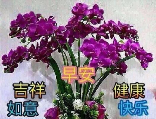 早安朋友祝福语一句话（早安朋友，愿你拥有美好的一天）