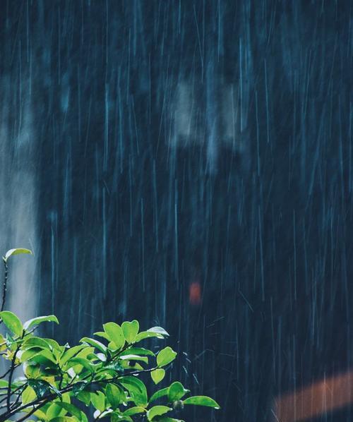 形容下雨天的语句（下雨天的美好）