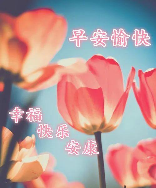 祝福唯美句子简短,不超过8个字（唯美暖心祝福）