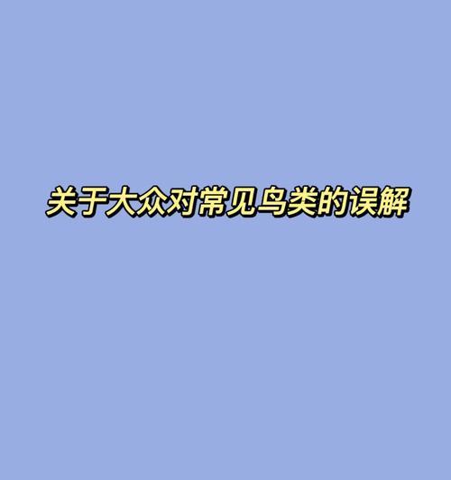 有关关于误会的作文800字（《误会》）