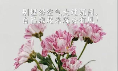 一发就会被秒赞的长句（爱情的瞬间）