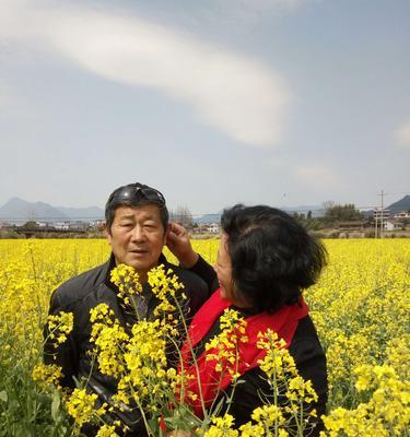 夫妻之间相濡以沫的短句（夫妻相濡沫的唯美句子）