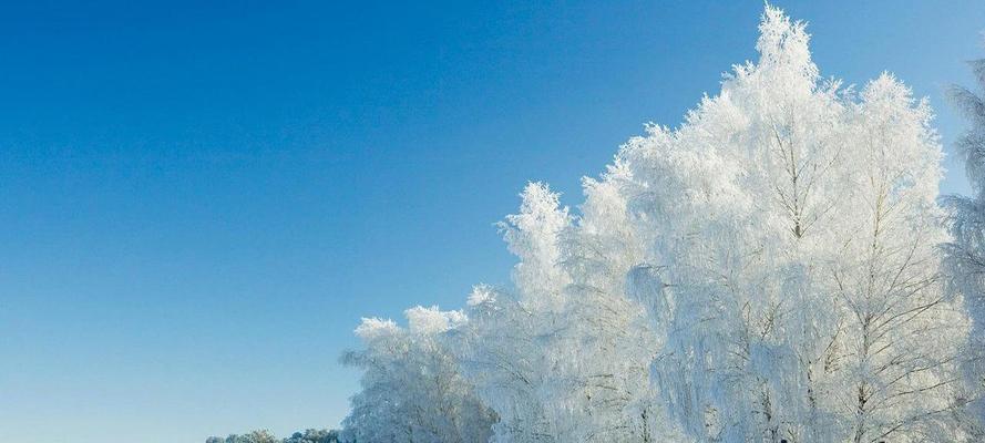 关于描写雪的优美句子大全（《雪落时分》——描写雪的唯美句子）