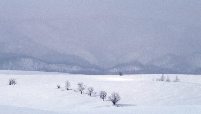 描写雪景的优美句子短句（雪域之美：唯美描写雪景的短句）