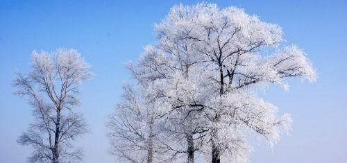 描写雪的优美短句（白茫茫的世界）