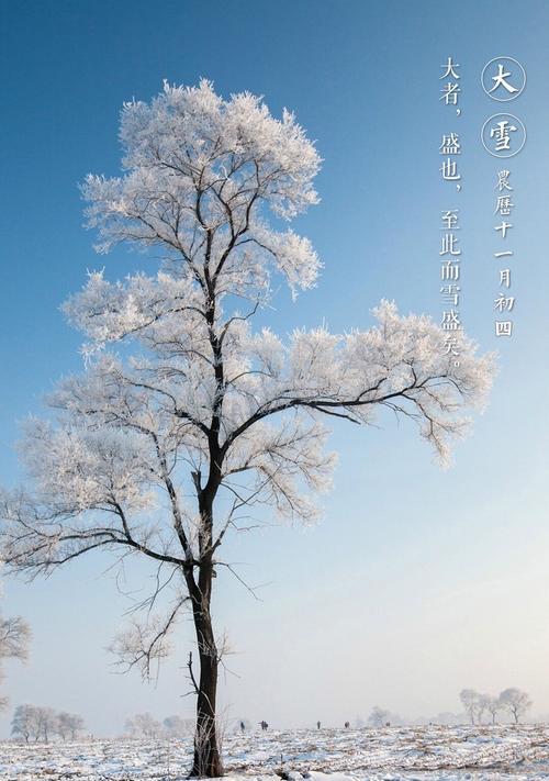 有关一句简短的雪景唯美句子的短句摘抄（雪中天堂）