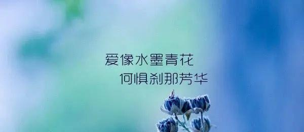 有关感慨的说说（感慨唯美句子）