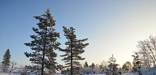 十字以内下雪唯美句子（雪落十字，唯美情怀）