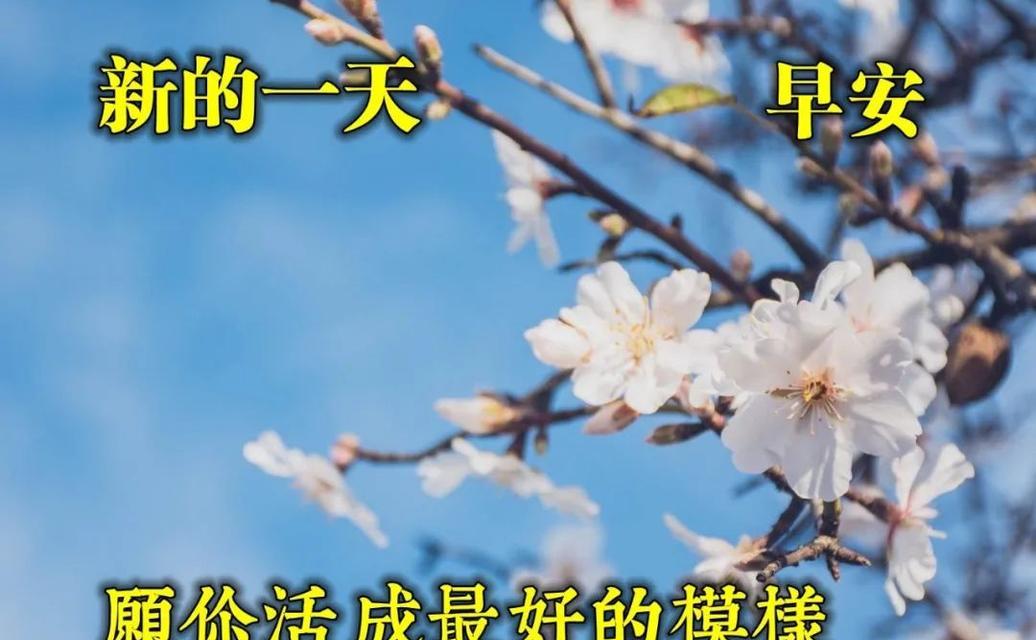 周四早安语录简短（温暖问候，美好早晨）