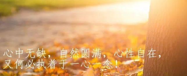 10月再见11月你好的文案（时间流水账，人生感悟）