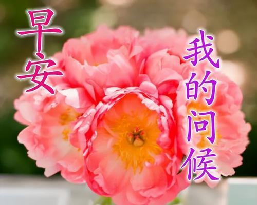 早安心语经典短句 一句话早安心语最新（唯美短句，呈现生活美好）