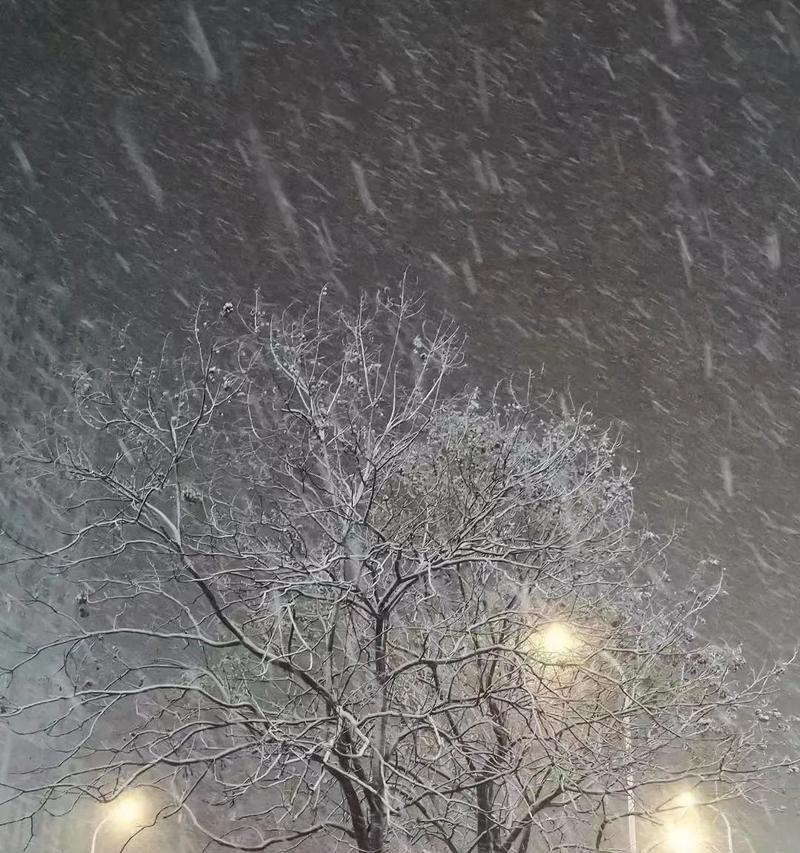 下雪天的心情经典句子适合发朋友圈（一场白雪纷飞的冬日漫步）