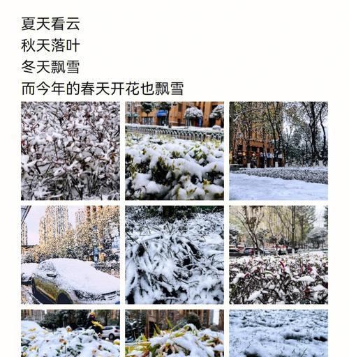 下雪天的心情经典句子适合发朋友圈（一场白雪纷飞的冬日漫步）