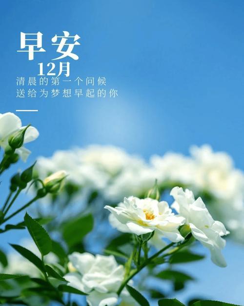 11月再见12月开始的句子（《岁月如歌》——以11月再见12月你好好句暖心说说为主题）