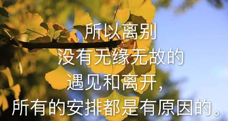 朋友圈说说的好句子2019最火（用文字，表达心情）