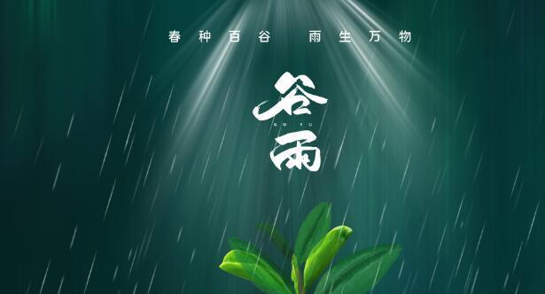 有关最新谷雨经典句子84句的短句摘抄（风雨同舟谷雨耕耘）