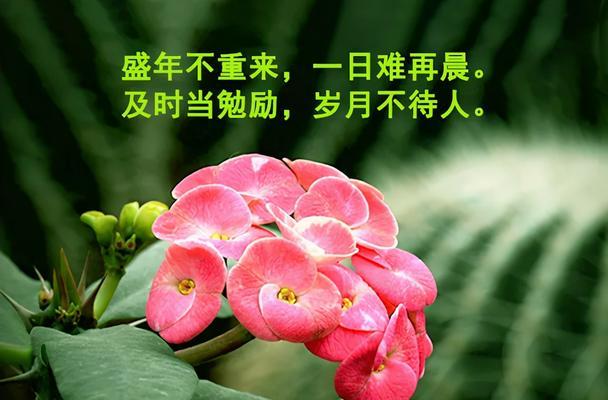 有关最新的早安问候语句子说说的短句有哪些（清晨的美好祝福）