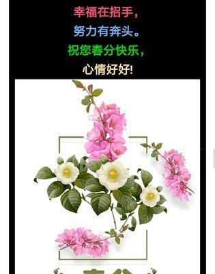 春分祝福文案（踏青赏花，祝福春分）