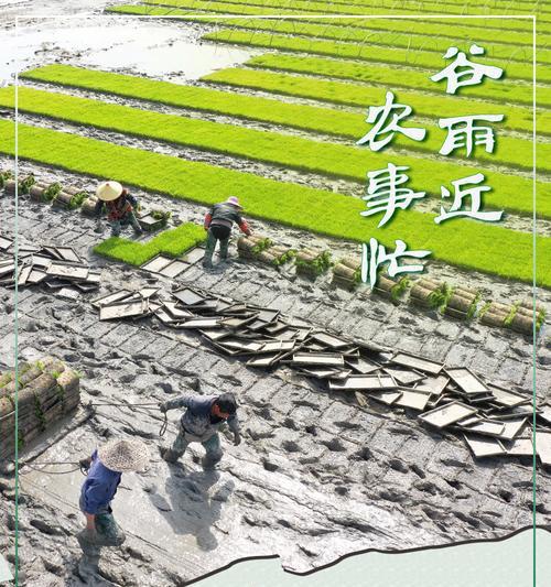 关于谷雨的文案（2024谷雨优秀好句90条）