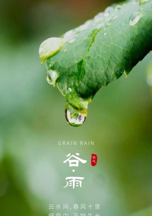 2024年谷雨祝福语（谷雨祝福，滋养万物）