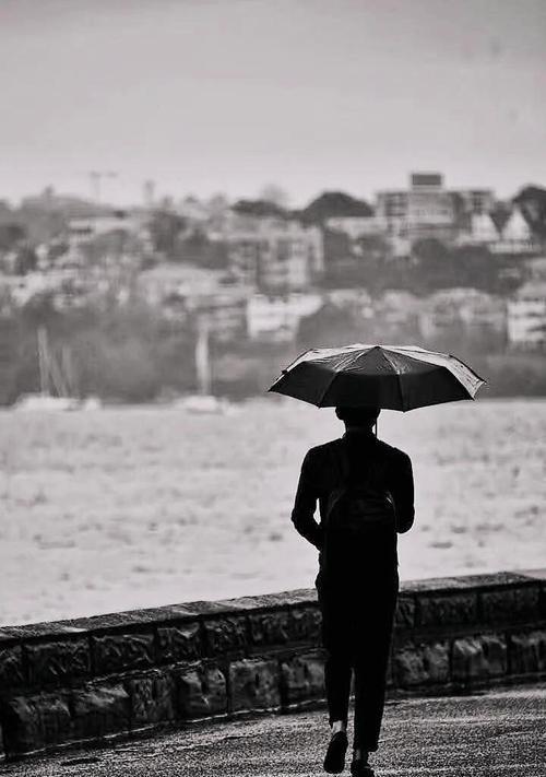 雨中漫步的唯美句子心情说说(30条)（雨中漫步，唯美之旅）