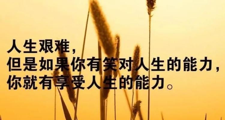 有关有哲理的人生句子的短句摘抄（深入探究每句话背后的含义）