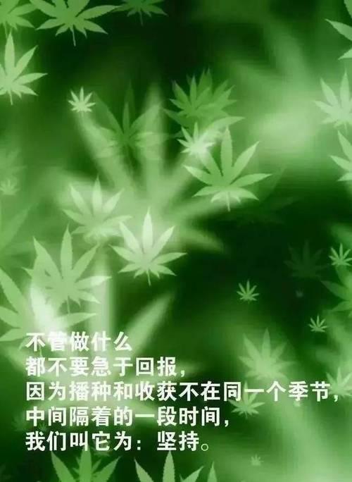 正能量奋斗语录集（《奋斗的美丽舞者》）