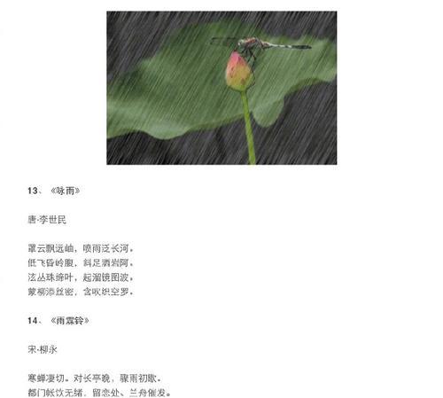 有关雨的优美句子有哪些（《雨，唯美的旋律》）