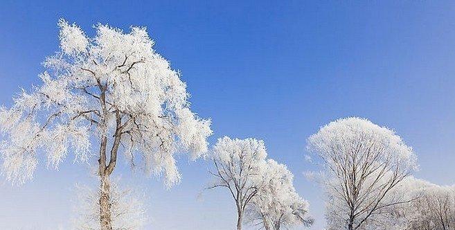 有关描写雪景的诗词佳句（雪里听春来）