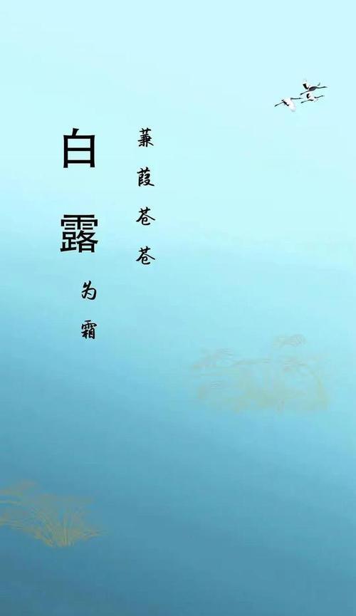 白露节气唯美句子（白露节气祝福25句）