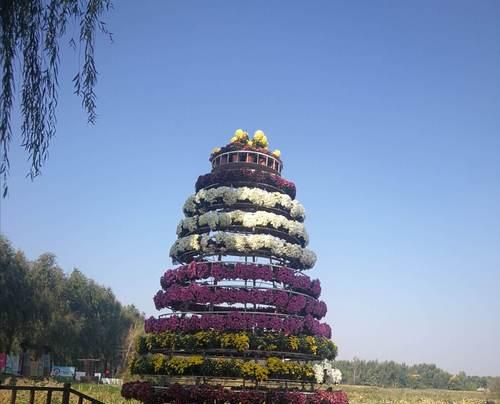 金秋祝福大全（金秋时节，芳菲盛开）