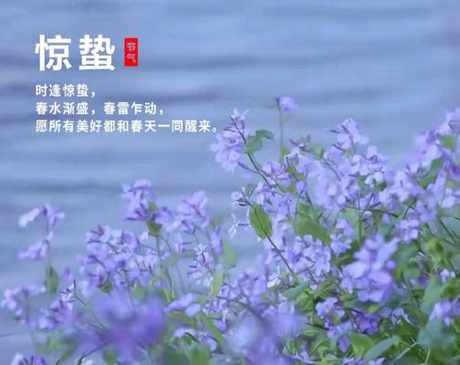 惊蛰说什么祝福语（2024惊蛰时节，送你一份唯美祝福）