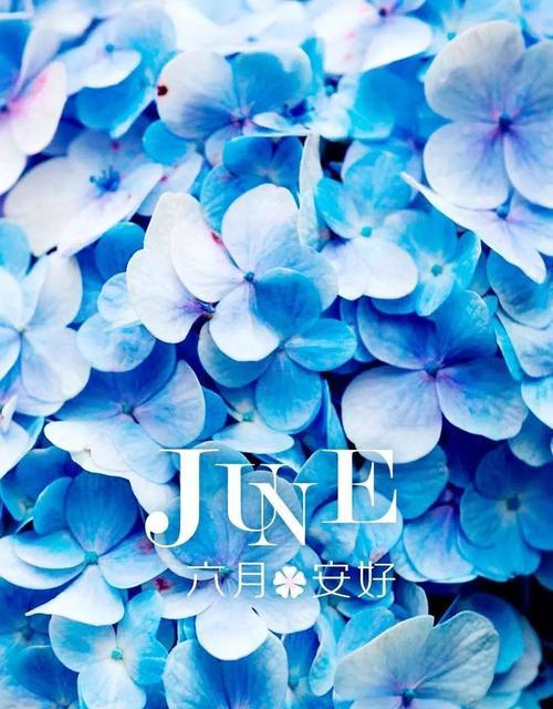 6月你好句子（温馨六月，暖心好句）