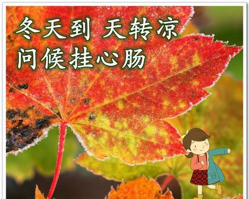 天气降温关心简短文案加（冬日暖心话——以天气降温关心人）