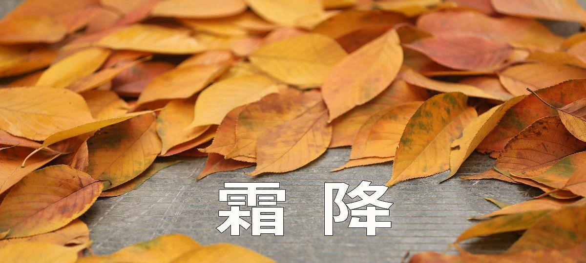 有关霜降节气的经典古诗词40首（唯美短句传递诗歌之美）