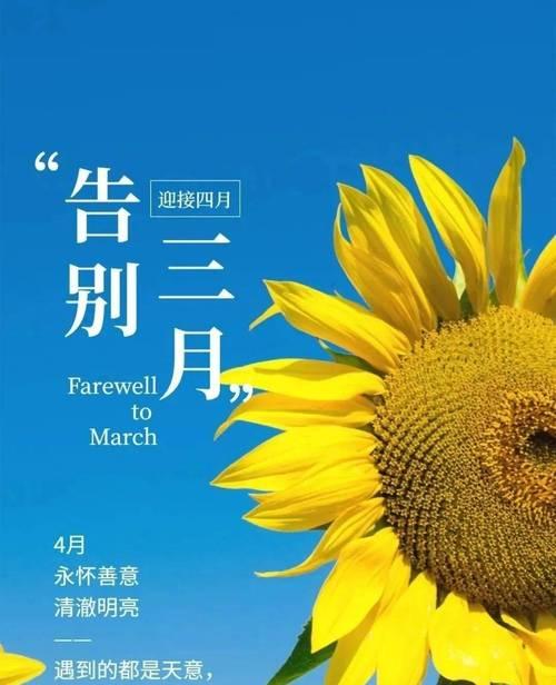 你好4月短句（繁花似锦）